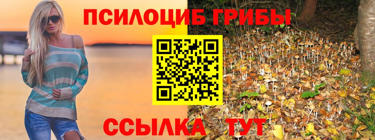 Галлюциногенные грибы прущие грибы Алексеевка